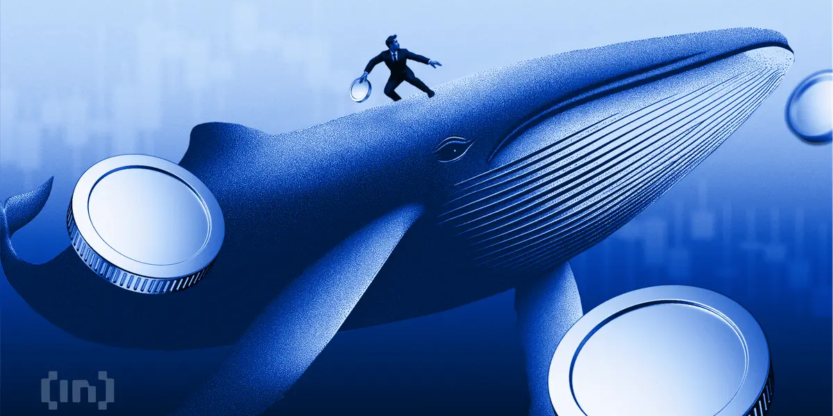 Whale Inflows Explained: How to Read Large Wallet Activity Without Chasing Noise
